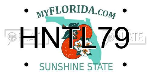 HNTL79 Florida License Plate