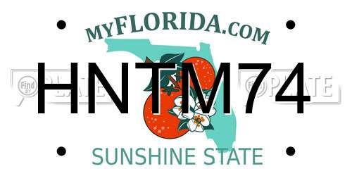 HNTM74 Florida License Plate
