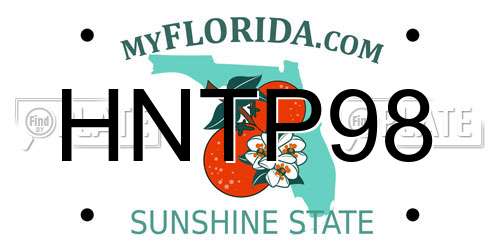 HNTP98 Florida License Plate