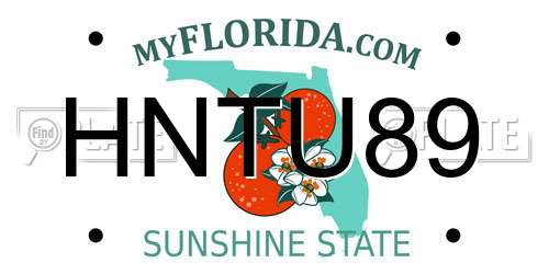 HNTU89 Florida License Plate