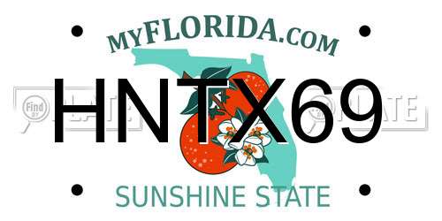 HNTX69 Florida License Plate
