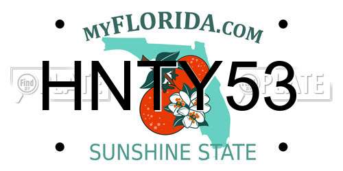 HNTY53 Florida License Plate