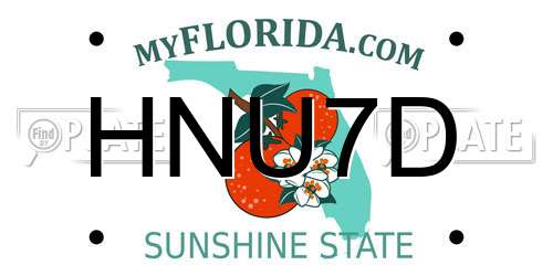 HNU7D Florida License Plate