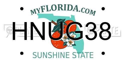HNUG38 Florida License Plate