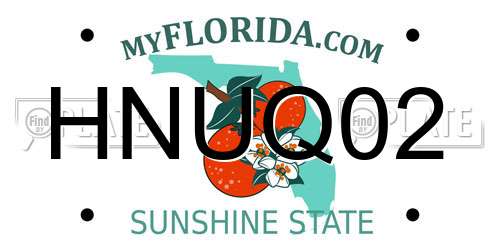 HNUQ02 Florida License Plate