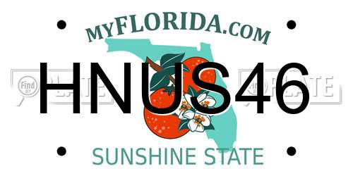 HNUS46 Florida License Plate