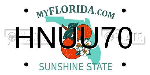 HNUU70 Florida License Plate