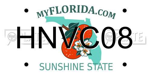 HNVC08 Florida License Plate