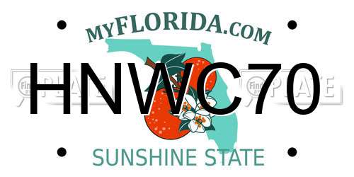 HNWC70 Florida License Plate