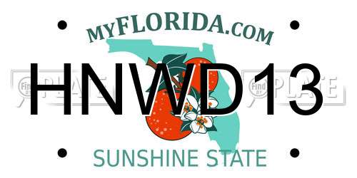 HNWD13 Florida License Plate