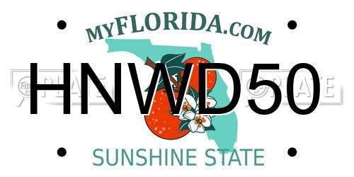 HNWD50 Florida License Plate