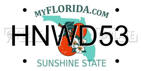HNWD53 Florida License Plate