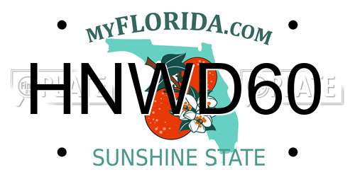 HNWD60 Florida License Plate