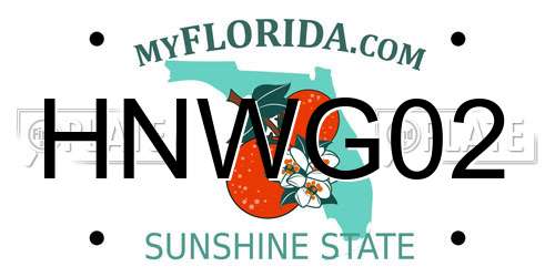 HNWG02 Florida License Plate