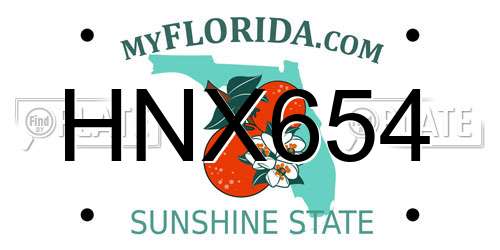 HNX654 Florida License Plate