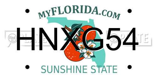 HNXG54 Florida License Plate