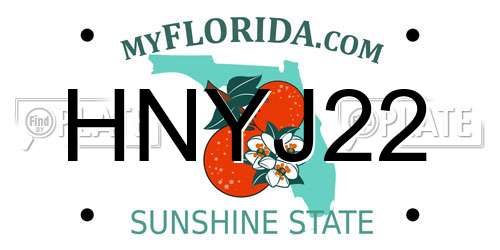 HNYJ22 Florida License Plate