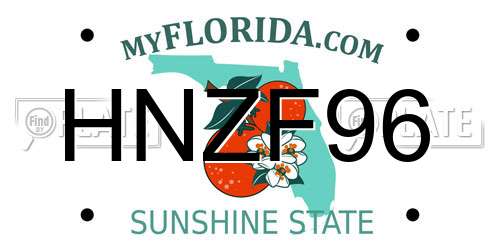 HNZF96 Florida License Plate