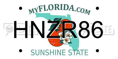 HNZR86 Florida License Plate