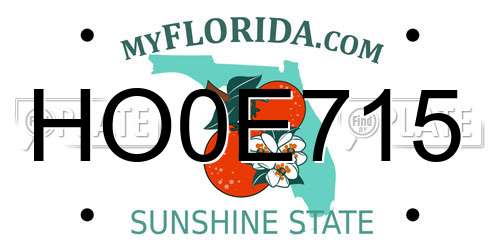 HO0E715 Florida License Plate
