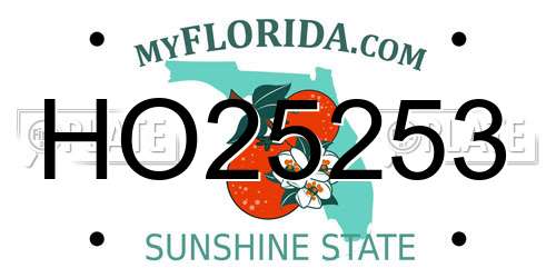HO25253 Florida License Plate