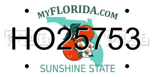 HO25753 Florida License Plate