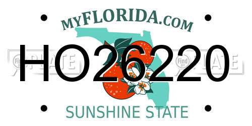 HO26220 Florida License Plate