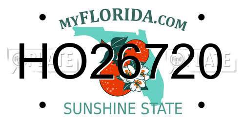 HO26720 Florida License Plate