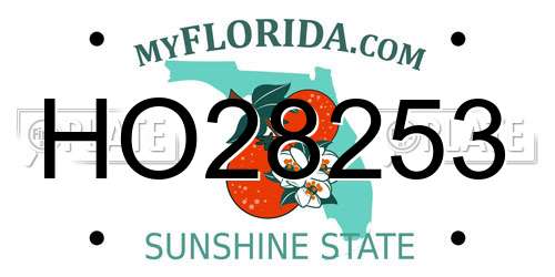 HO28253 Florida License Plate