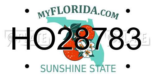 HO28783 Florida License Plate