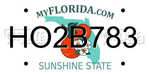 HO2B783 Florida License Plate