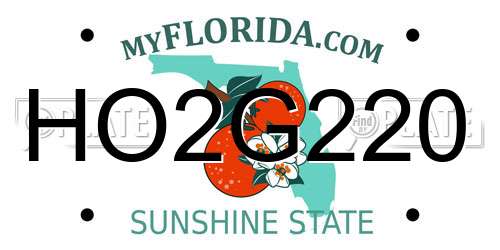 HO2G220 Florida License Plate