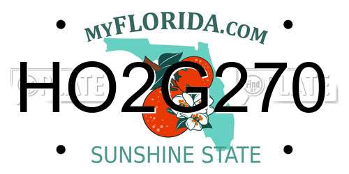 HO2G270 Florida License Plate