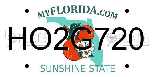 HO2G720 Florida License Plate