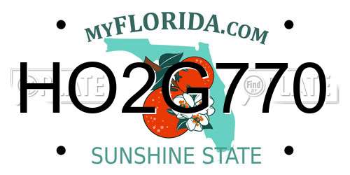 HO2G770 Florida License Plate