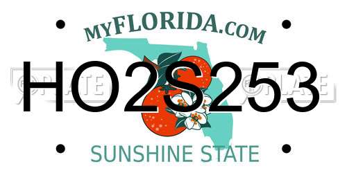 HO2S253 Florida License Plate