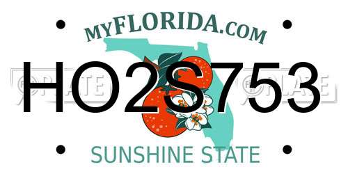 HO2S753 Florida License Plate