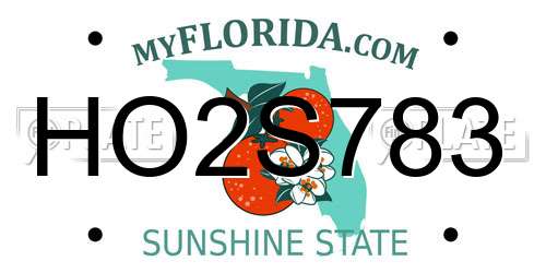HO2S783 Florida License Plate