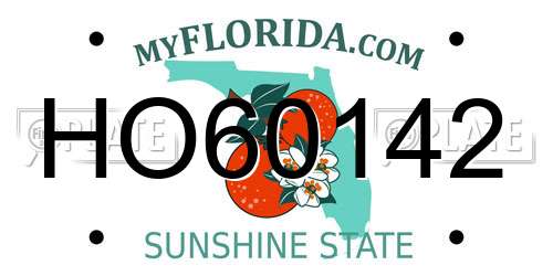 HO60142 Florida License Plate