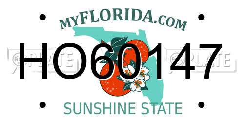 HO60147 Florida License Plate