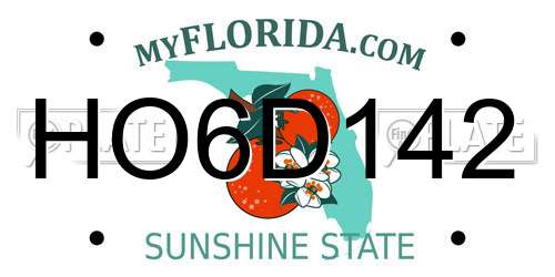 HO6D142 Florida License Plate