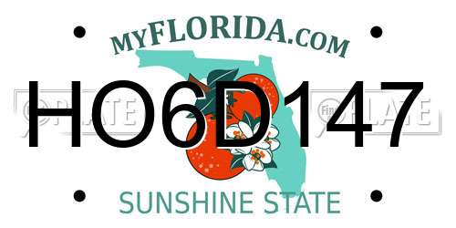 HO6D147 Florida License Plate