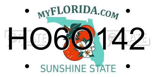 HO6O142 Florida License Plate