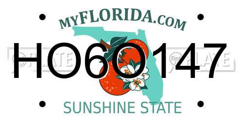 HO6O147 Florida License Plate
