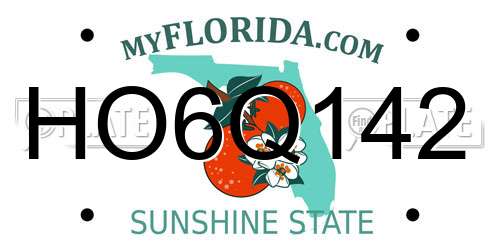 HO6Q142 Florida License Plate