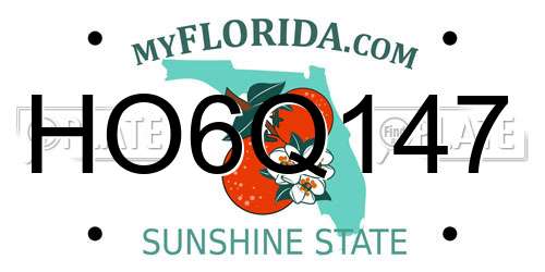 HO6Q147 Florida License Plate