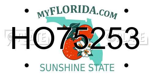 HO75253 Florida License Plate