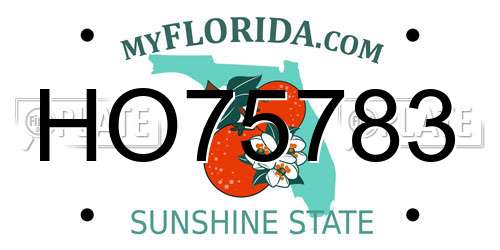 HO75783 Florida License Plate