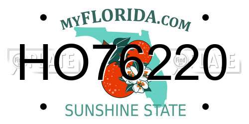 HO76220 Florida License Plate