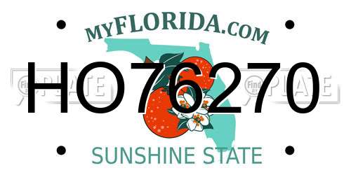 HO76270 Florida License Plate